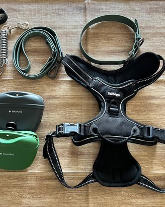 SET ACCESSORI CANE PREMIUM – COME NUOVI 🐶