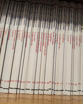 Collezzione libri corpo umano