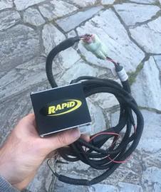 Modulo aggiuntivo Rapid by dimsport Toyota d-cat