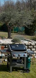 Weber spirit 2