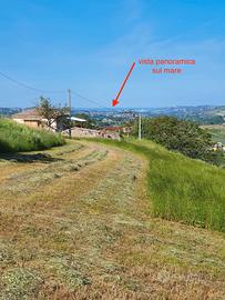 Terreno con fabbricati rurali