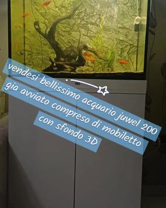 ACQUARIO 