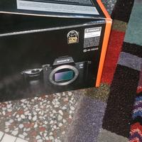 Sony A7 III + Sony 50 mm f/1.8 – 5.411 scatti – co