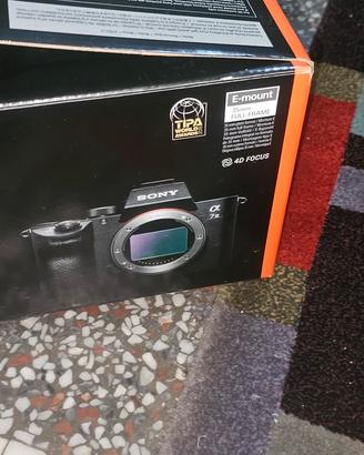 Sony A7 III + Sony 50 mm f/1.8 – 5.411 scatti – co