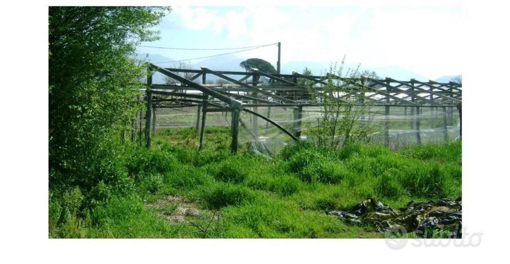 Immobile in asta di 5155 m² a Fondi - Vista 5