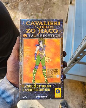 cavalieri dello zodiaco 