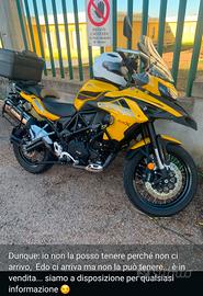 moto benelli 