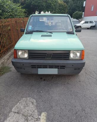 Fiat Panda Young
