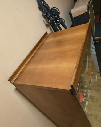 Mobiletto Vetrina in Legno con Anta in Vetro