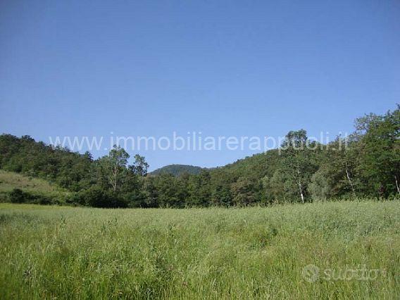 CL37 - Rustico Casale da Ristrutturare in Torrita - Vista 2