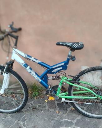 Mountain Bike da sistemare
