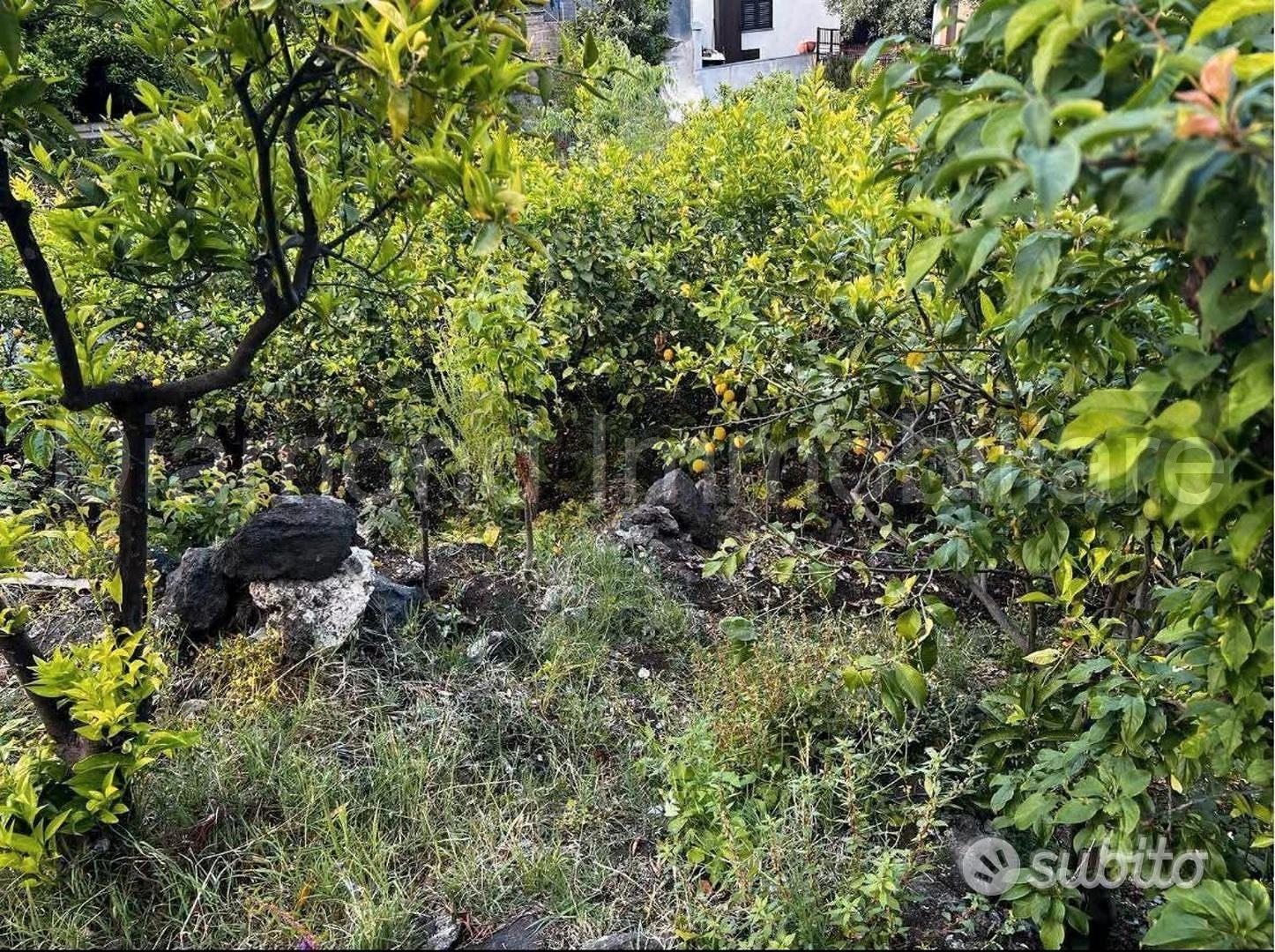 Terreno edificabile con rudere a Macchia di Giarre - Vista 3
