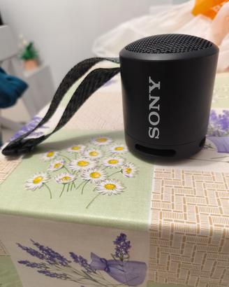 cassa bluetooth Sony 