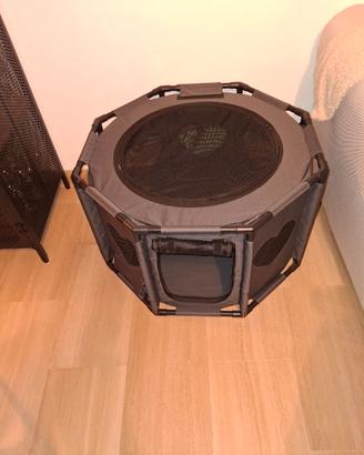 box per cani