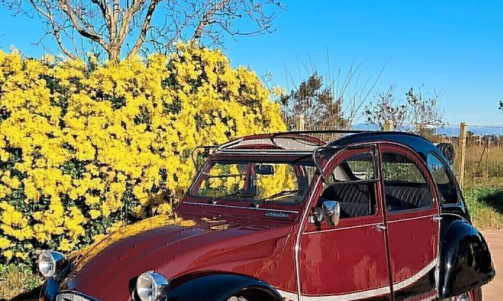 Citroen 2CV 2CV6 Charleston STORICA 40 ANNI