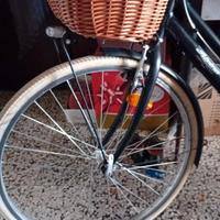 bicicletta donna ALPINA 