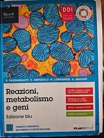 Reazioni, metabolismo e geni