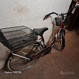 bicicletta donna