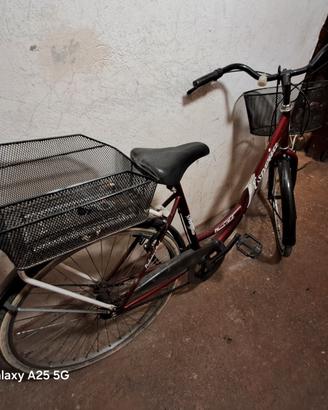 bicicletta donna