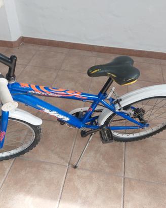 bicicletta 
