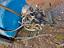 Immagine 6