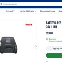 BATTERIA PER BICICLETTA TRANZX BLO7