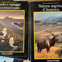 Arte intera collezione