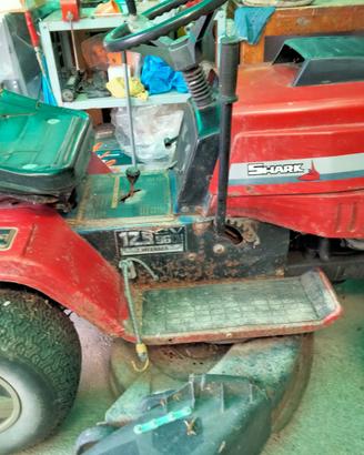 Trattorino tagliaerba