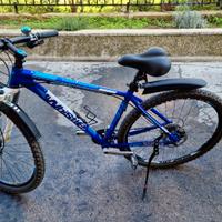 Bicicletta Mountain Bike Whistle