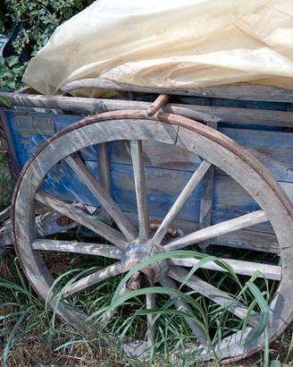 carro agricolo antico