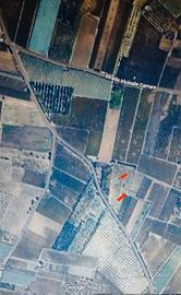 Terreno agricolo Ruvo di Puglia 6500 mq Carrare