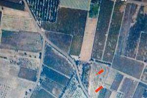Terreno agricolo Ruvo di Puglia 6500 mq Carrare