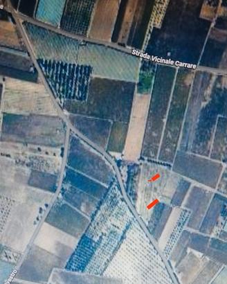 Terreno agricolo Ruvo di Puglia 6500 mq Carrare