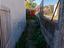 Immagine 19