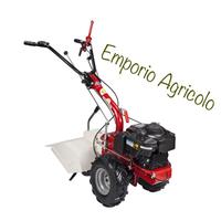 Motofalciatrice (con fresa) p55 honda 166 cc