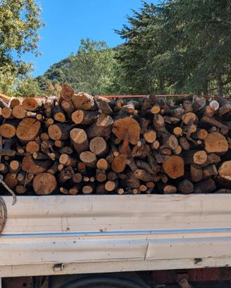 Legna di leccio, lentischio e corbezzolo