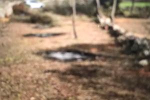 Terreno agricolo noci