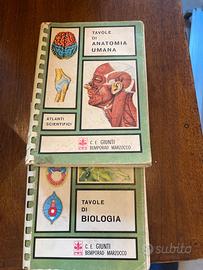 Libri tavole di anatomia e biologia