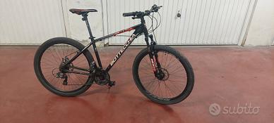 Bicicletta Bottecchia