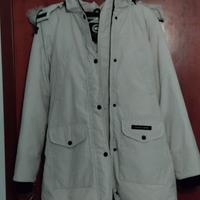 Canada goose 