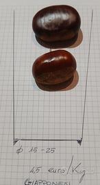 Castagne