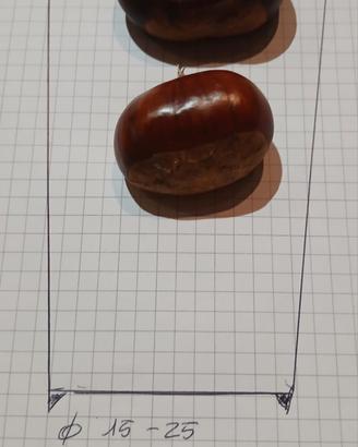 Castagne