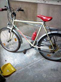 Bianchi