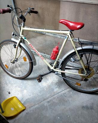 Bianchi
