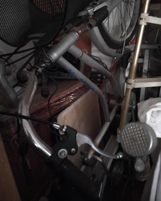 bici elettrica