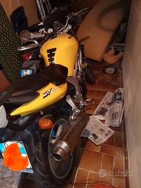 Suzuki SV 650 - 2003