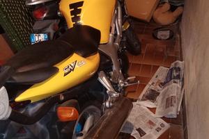 Suzuki SV 650 - 2003