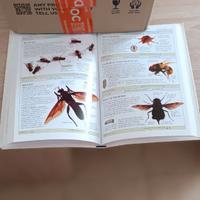 **"Il Meraviglioso Mondo degli Insetti: Guida Illu