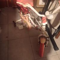 bici bimba tre anni euro 20