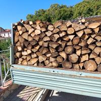 Legna secca quercia e faggio castagno ulivo